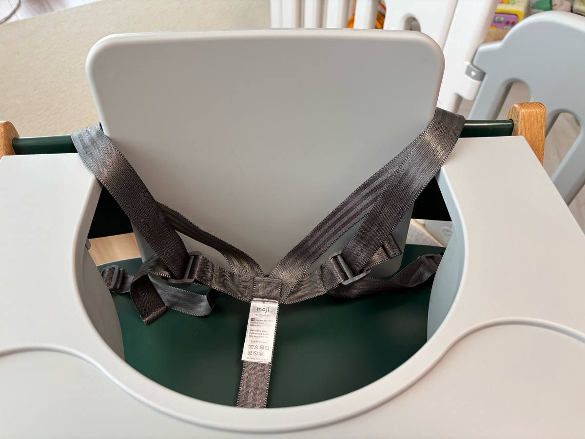 上から見たセーフティーハーネス(トレイの内側)